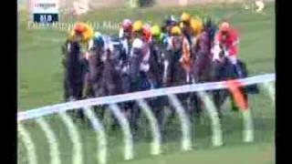 CocoRepublic horserace video