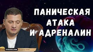 Избежать панической атаки: Психические проблемы, что делать? Советы целителя