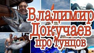 Владимир Докучаев: про охотников и фридайверов, про море Банда и Таиланд