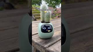 "Plants cant speak” 