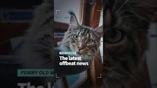 Funny Old World: The latest offbeat news