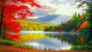 Autumn MusicEnjoy the calming autumn, Calm instruments, Music for sleep