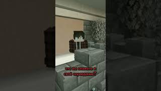 #minecraft вот это Конституция