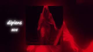 DIPIENS - 505