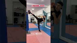 Wushu sanda skills #wushu #kickboxing #mma