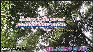 ️Nature is the purest portal to inner PEACE. - Angie Weiland Crosby