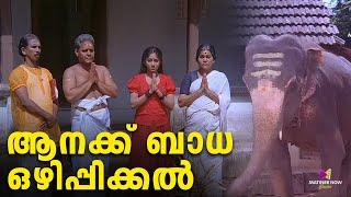 ആനക്ക് ബാധ ഒഴിപ്പിക്കൽ | Gajakesariyogam | Innocent | Mamukkoya Comedy scenes