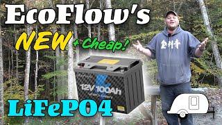 EcoFlow 100Ah LiFePO4 Battery Review + Promo Code!