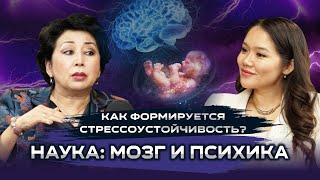 Как Выходить из Стресса и Конфликтов и Быть Эффективным - НАУКА И МОЗГ