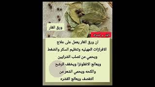 #معلومات #حكمة_الحياة #حكمة_اليوم #حكمة_رائعة #اقوال_الجوكر #shortvideo#حكم