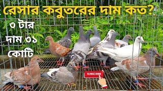 অরিজিনাল রেসার কবুতরের দাম কত? What is the price of the original racer pigeon?