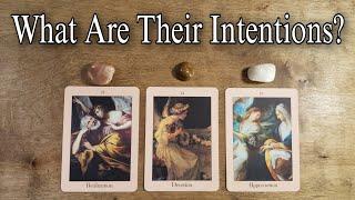 ‍️ What Is Their Intention Toward You?  Pick A Card Love Reading