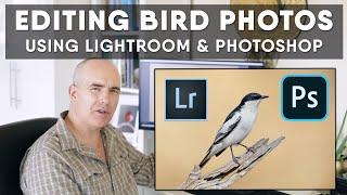 Editing Bird Photos In Lightroom & Photoshop - How I Select, Edit, Process Raw File Start to Finish