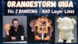 Elegoo OrangeStorm Giga: Fix LAYER LINES AND Z BANDING - Loose Hotend