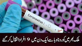 Coronavirus Update in Pakistan #Shorts #TalkShowsCentral | DU1