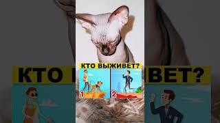 Cat Sphynx кто выживет странные картинки tik toks