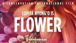 Nature Is Speaking – Lupita Nyong'o is Flower | Conservation International (CI)