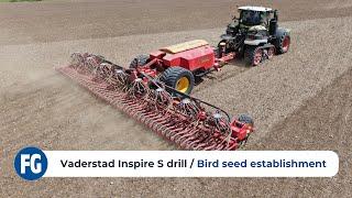 Vaderstad Inspire S 12m drill | Bird seed establishment