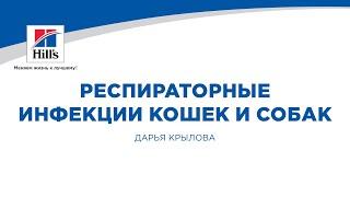 Вебинар на тему: "Респираторные инфекции кошек и собак. Патогенез и диагностика.”