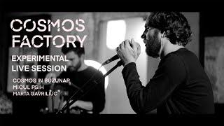 /// Cosmos Factory #1 /// COSMOS in BUZUNAR feat Mic-ul Psih -    IZVOR