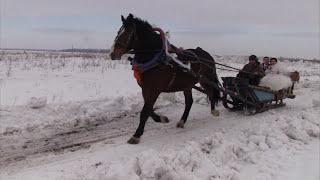 Зимняя свадьба в России на стильном видеоклипе