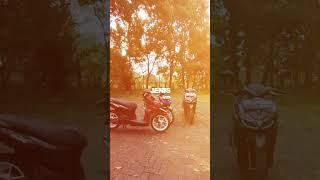 cinematic motor terbaru #shorts #vario #beat #panen
