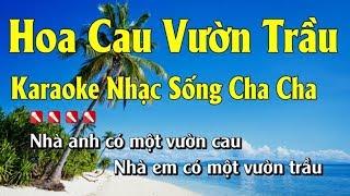 Hoa Cau Vườn Trầu Karaoke Nhạc Sống Hay Nhất - Tone Nam