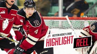 2019-20 HIGHLIGHT REEL | Christoffer Sedoff