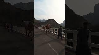 Warm welcome from Baloch People