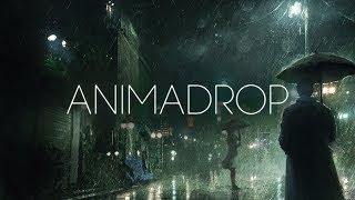 Animadrop - Soul Mirror