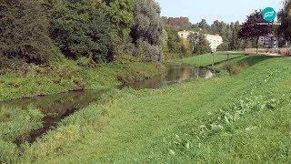 La restauration des berges de l'Orge au Coteau des Vignes à Athis-Mons