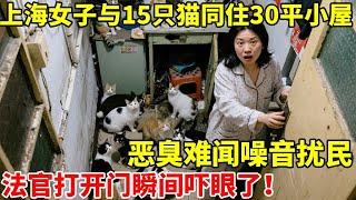上海女子与15只猫同住30平小屋,恶臭难闻噪音扰民!法官打开门瞬间被吓傻了【案件追踪】