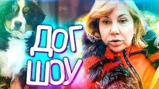 Дог-шоу | Марина Федункив шоу