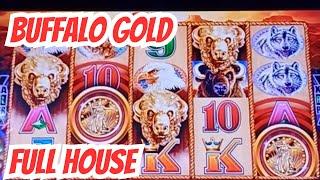 Buffalo Gold Slot Machine Full House