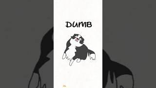 | ORIGINAL | Drawing the emotions of your pets ..... #music#art#animart #albumart #animationartworks