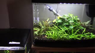 Lovefish Panorama 40 litre long term review.