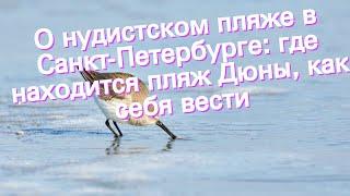 О нудистском пляже в Санкт-Петербурге: где находится пляж Дюны, как себя вести