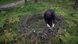 Performance 'The Nest' - Anastasia Berezina