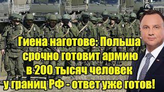 Гиена наготове: Польша срочно готовит армию в 200 тысяч человек у границ РФ - ответ уже готов!