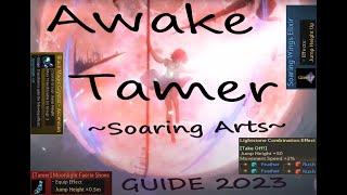 BDO Awake Tamer ~Soaring Arts~ GUIDE! The Basics, *NEW* Skyreach Ascent! Bolt Jumps, Aerial Stomp!?