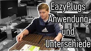 Anzucht & Aufzucht für Stecklinge und Samen - Ganz einfach mit EazyPlugs! Growberg-Tipps und Tricks