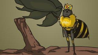 Morons VS Wild [Two Best Friends Play]