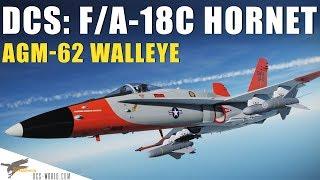 DCS: F/A-18C Hornet - AGM-62 ER/DL Walleye II