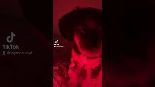 Evil puppy #shorts #fyp #foryoupage #funny #comedy #puppy #puppies #puppylove #youtube #tiktok