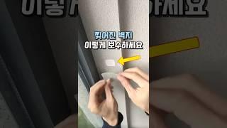 찢어진 벽지 이렇게 보수하세요 #살림팁 #살림템