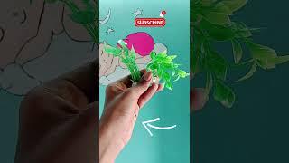 Aquarium plants unboxing || colour plants to fish tank #trending #aquariumplants