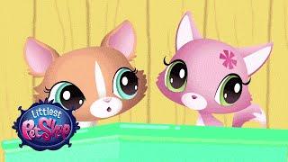 Littlest Pet Shop - 'Blythe's Scooter Adventure' Webisode