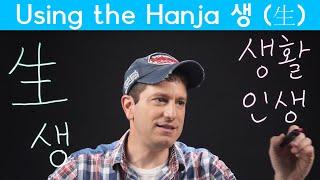 Important Hanja: LIFE 생 (生) (한자) | Korean FAQ