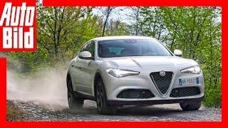 Pariser Salon - Alfa Romeo Stelvio (2017)