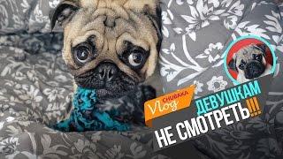 Chubaka Vlog! Девушкам не смотреть!.. а Александре тем более...